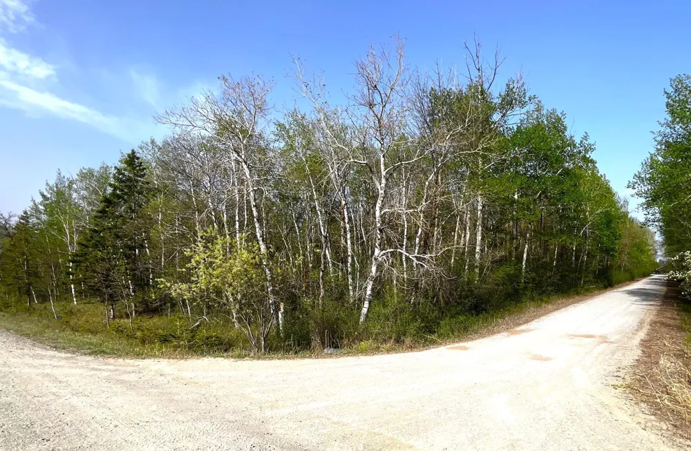 XXX 585th Avenue Warroad, MN 56763