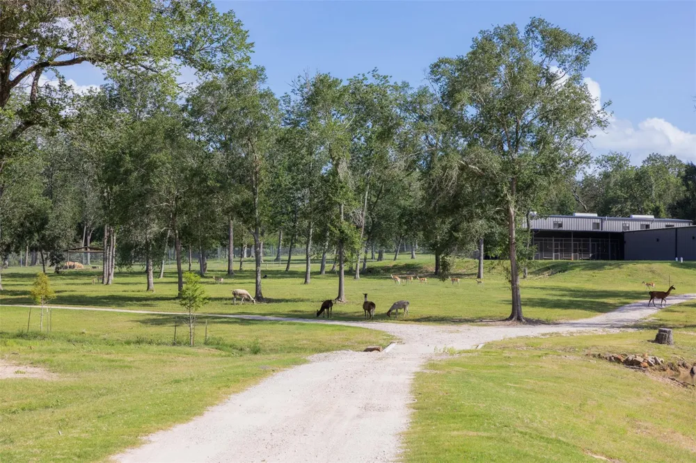 7521 Schoenau Road Brenham, TX 77833