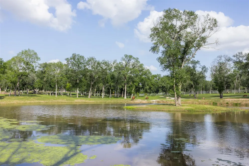 7521 Schoenau Road Brenham, TX 77833
