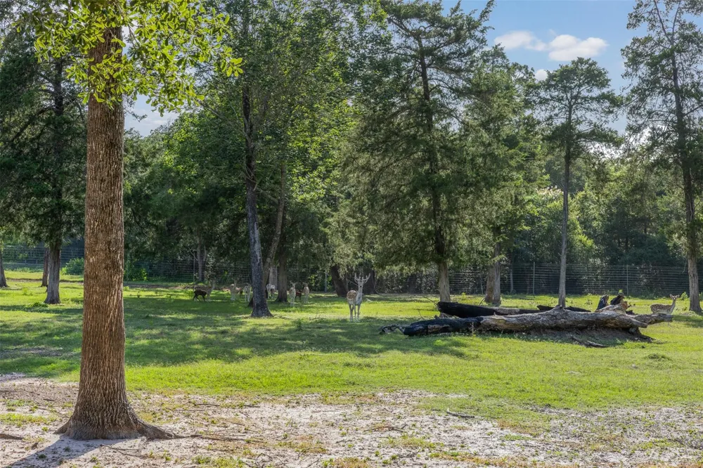 7521 Schoenau Road Brenham, TX 77833