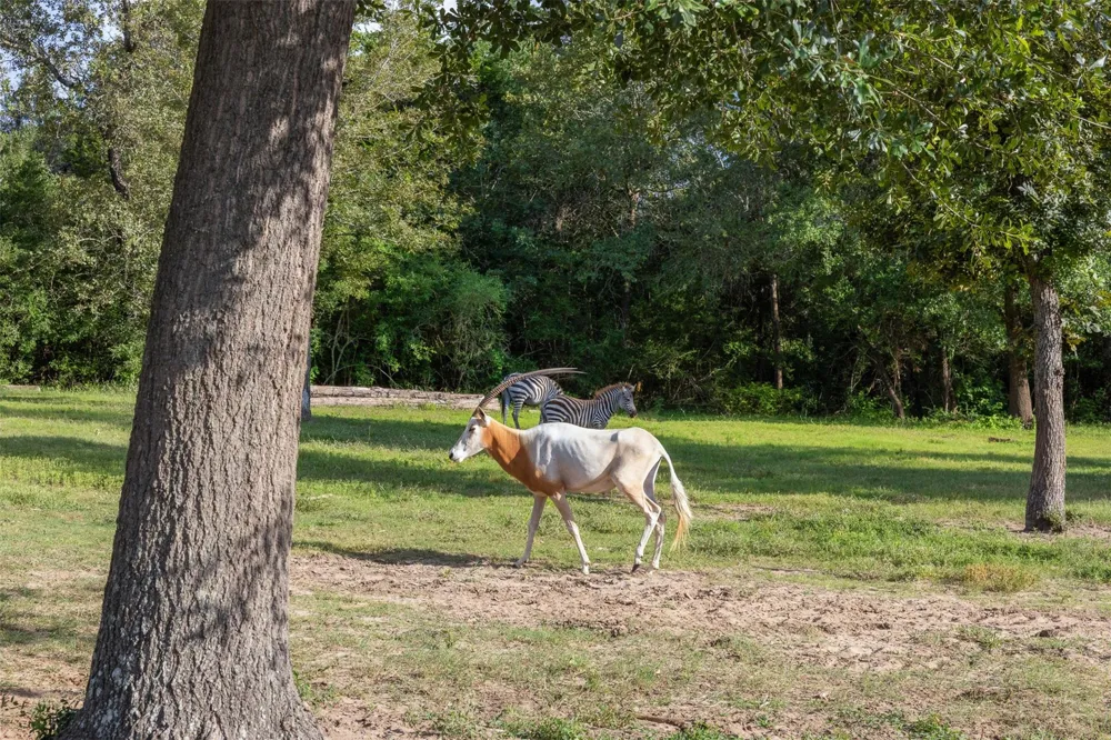 7521 Schoenau Road Brenham, TX 77833