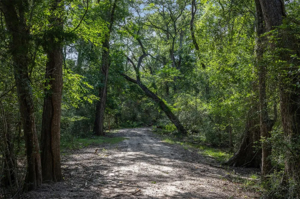 7521 Schoenau Road Brenham, TX 77833