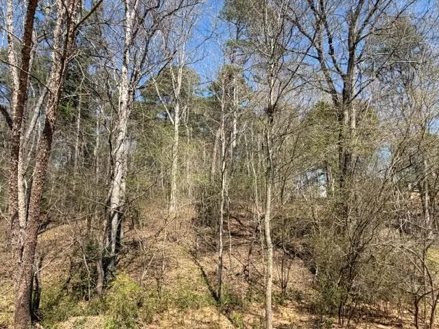 Lot 0 Jack Pittman Road Dacula, GA 30019