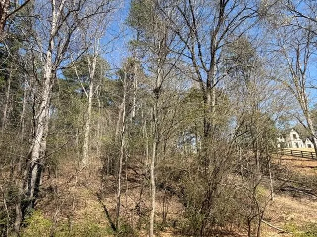 Lot 0 Jack Pittman Road Dacula, GA 30019