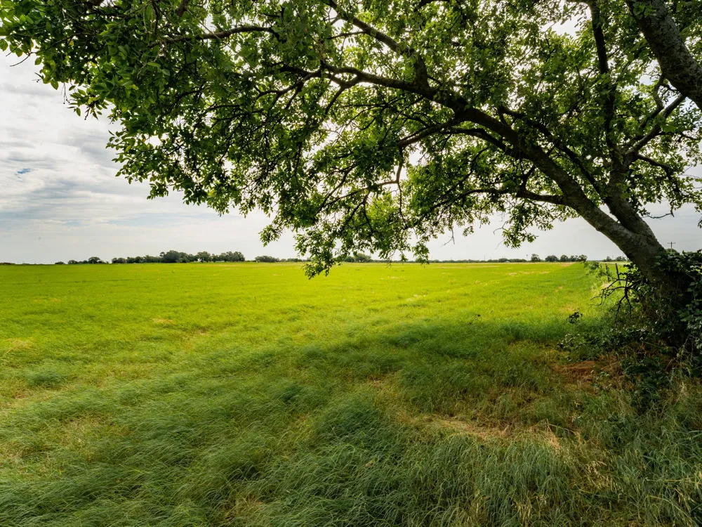 207 Cr-1750 Chico, TX 76431