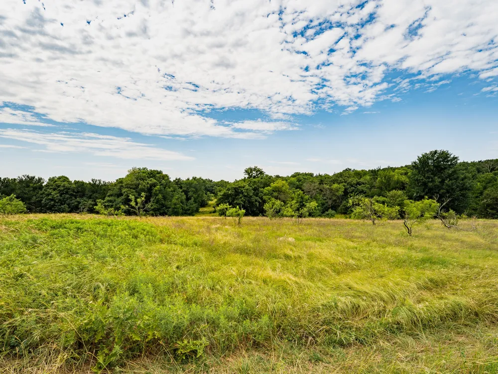 207 Cr-1750 Chico, TX 76431