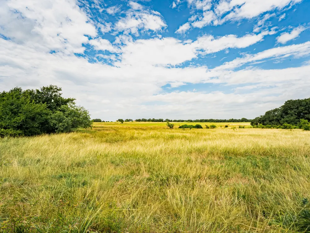 207 Cr-1750 Chico, TX 76431