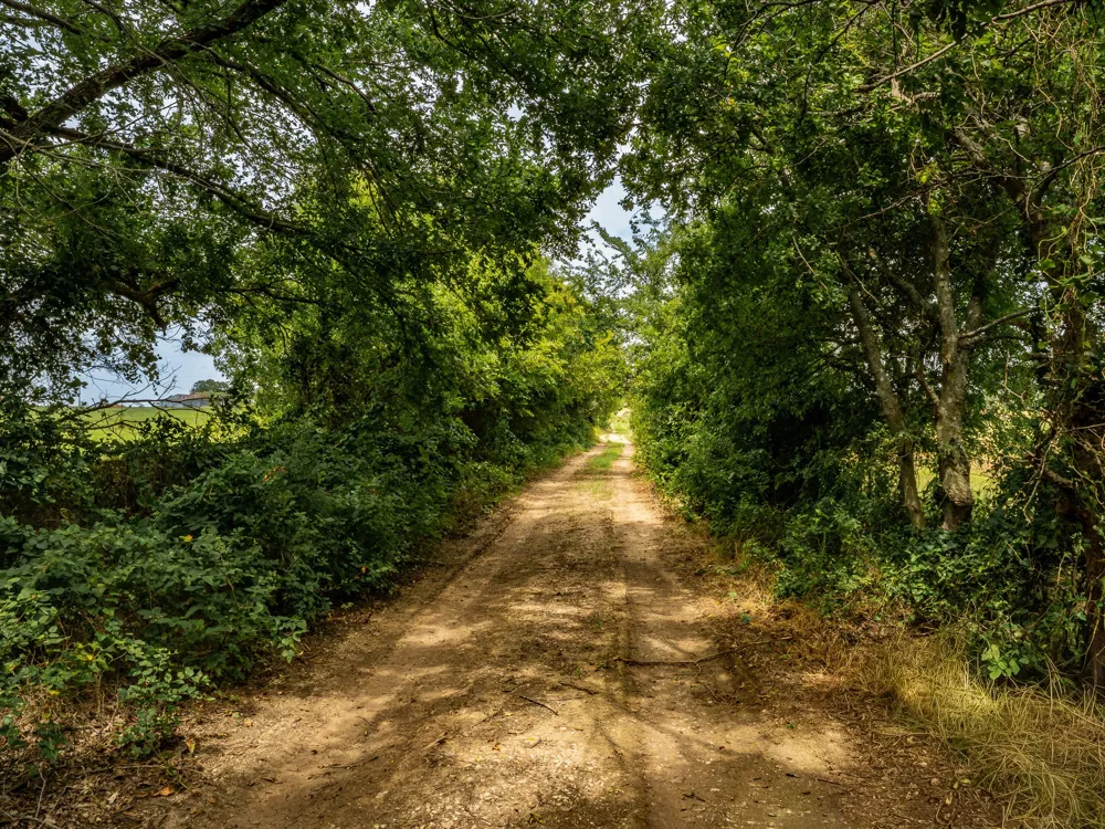 207 Cr-1750 Chico, TX 76431