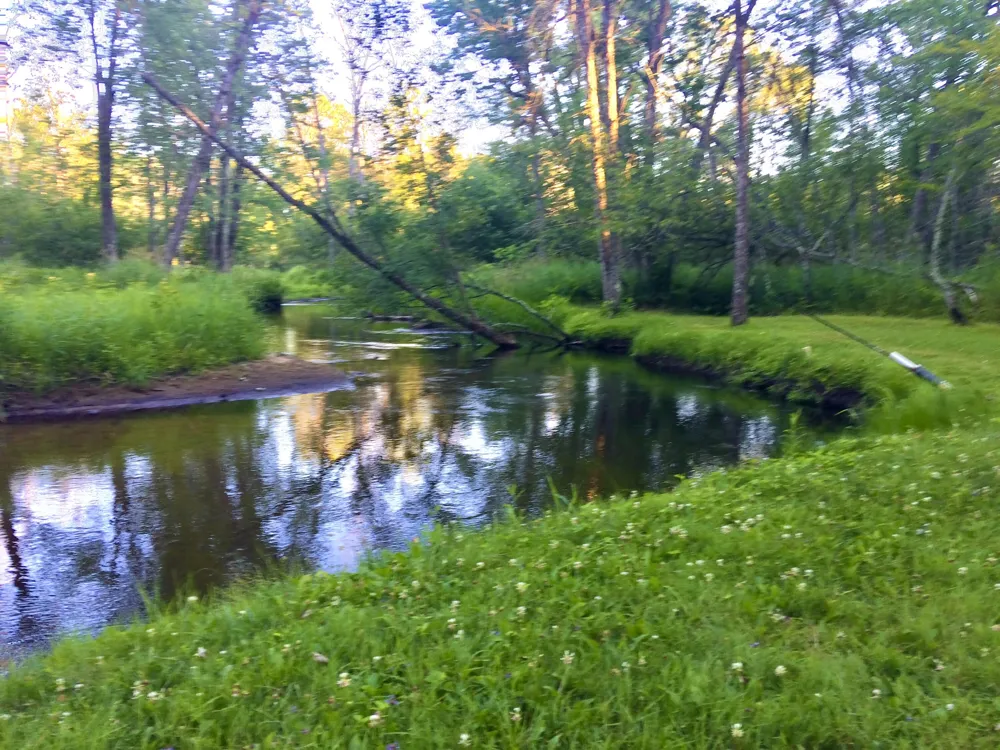 7 W 4 Mile Road Luther, MI 49656