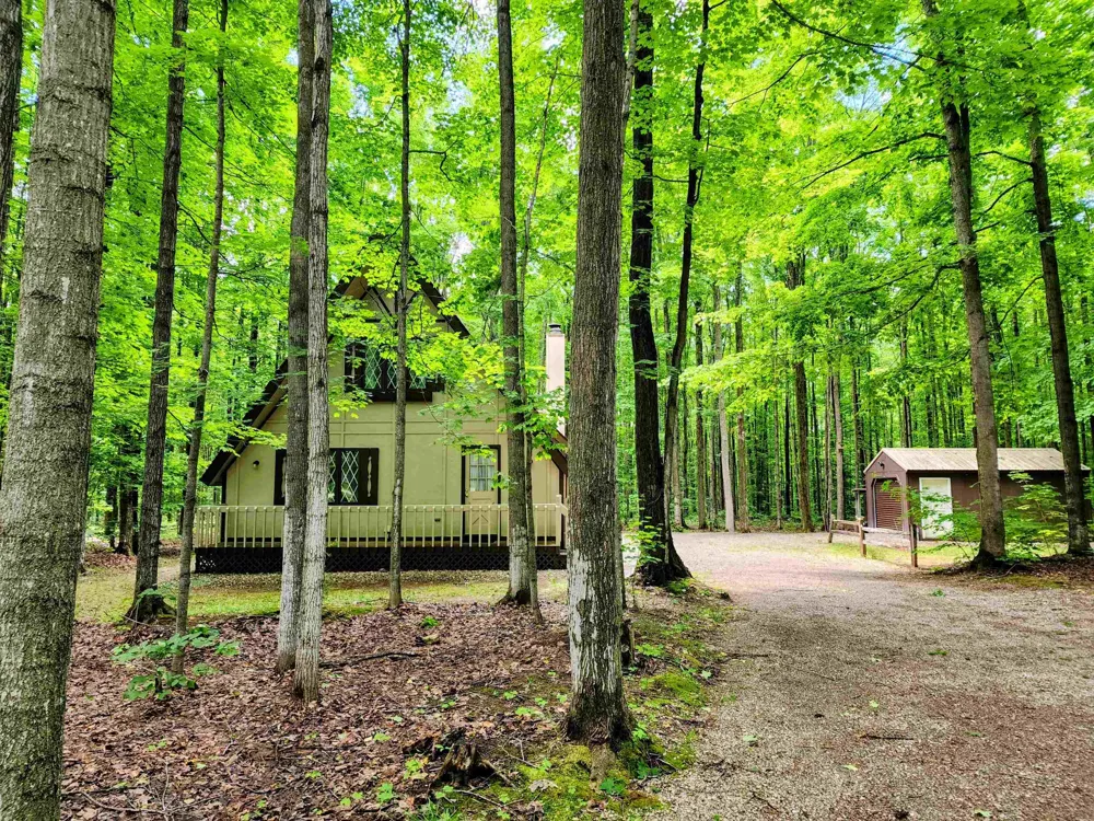 5834 Forestgrove Drive Star Township, MI 49730