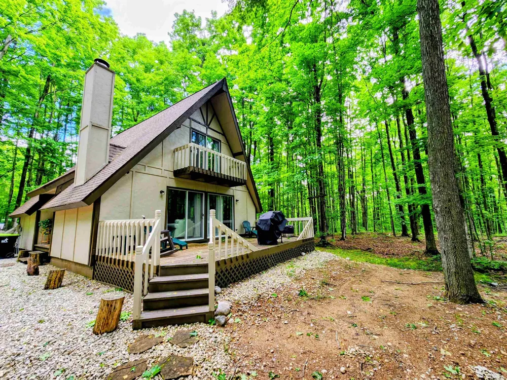 5834 Forestgrove Drive Star Township, MI 49730