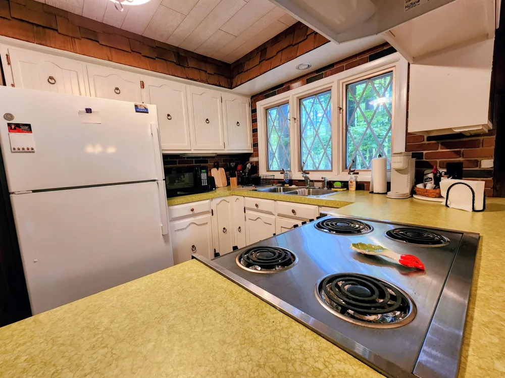 5834 Forestgrove Drive Star Township, MI 49730