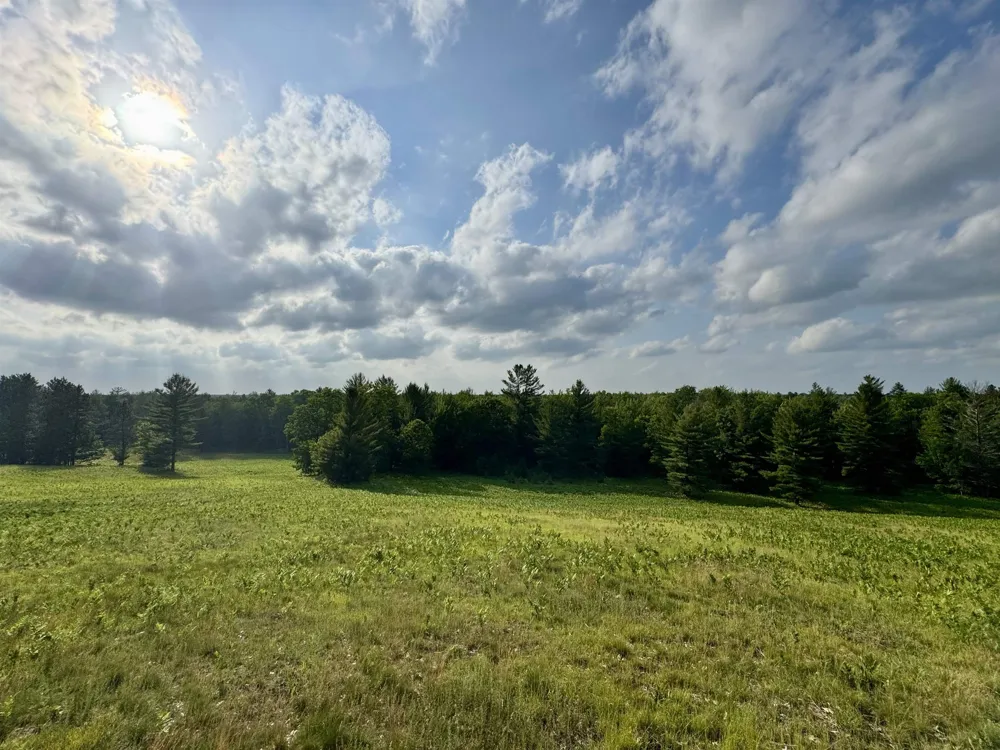 4264 SW Bald Eagles View Boardman Township, MI 49680