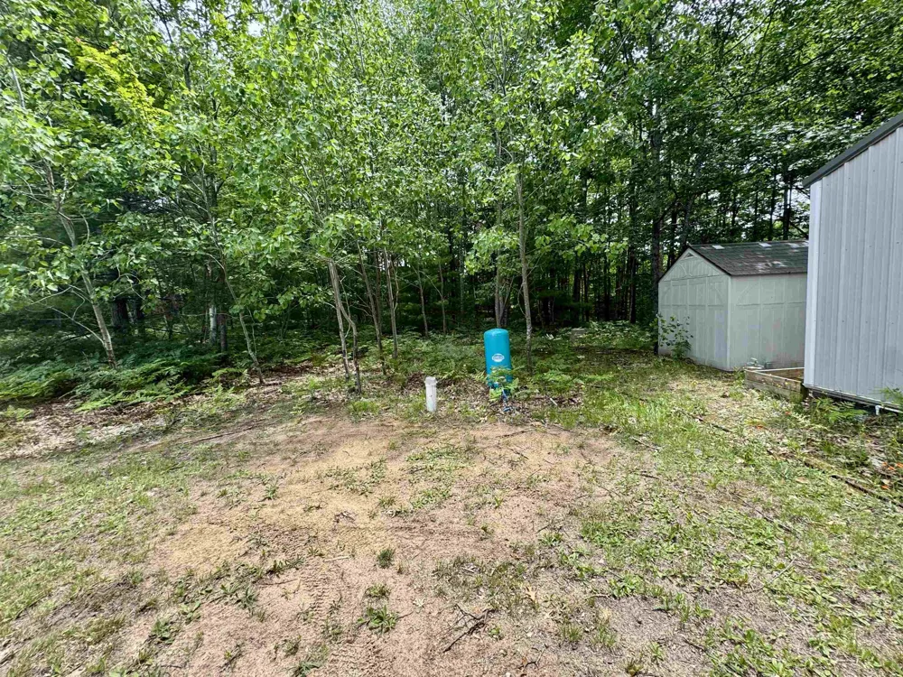 4264 SW Bald Eagles View Boardman Township, MI 49680