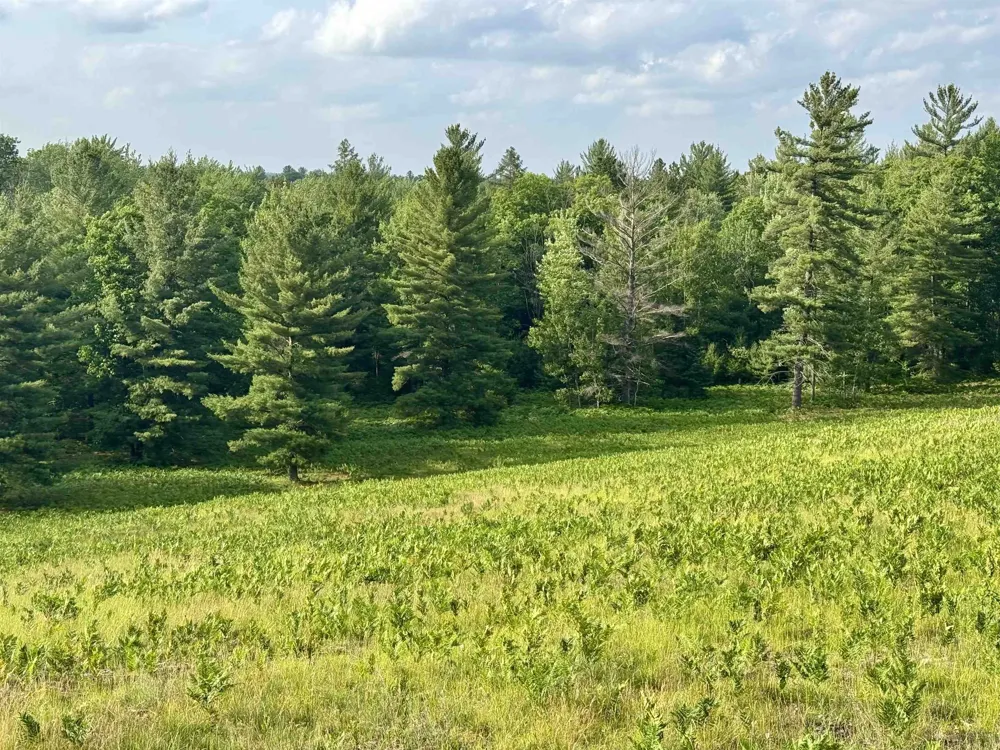 4264 SW Bald Eagles View Boardman Township, MI 49680