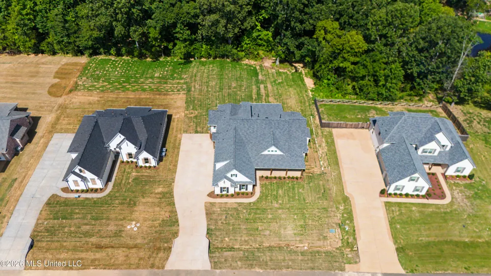 1683 Baisley Drive Nesbit, MS 38651