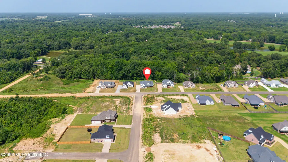 1683 Baisley Drive Nesbit, MS 38651