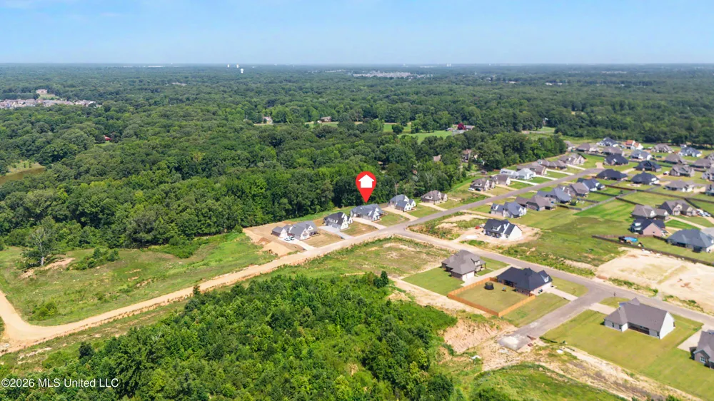 1683 Baisley Drive Nesbit, MS 38651