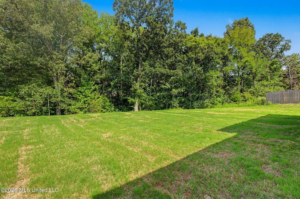 1683 Baisley Drive Nesbit, MS 38651