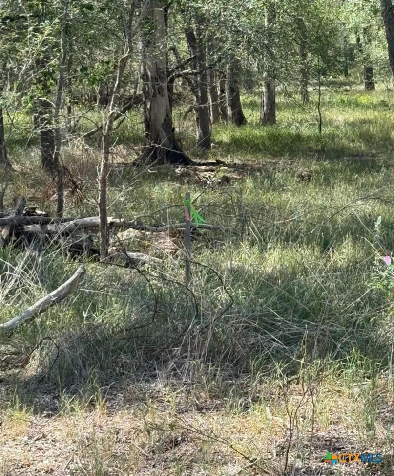 412 Kerr Avenue Sutherland Springs, TX 78161