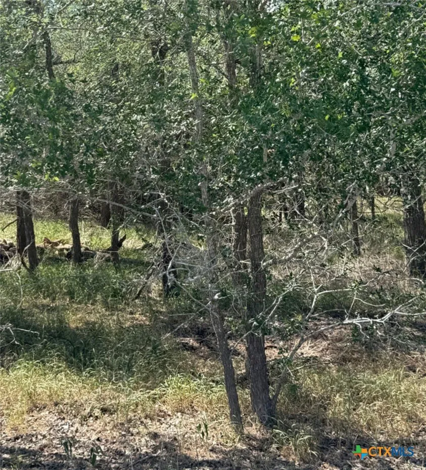 412 Kerr Avenue Sutherland Springs, TX 78161