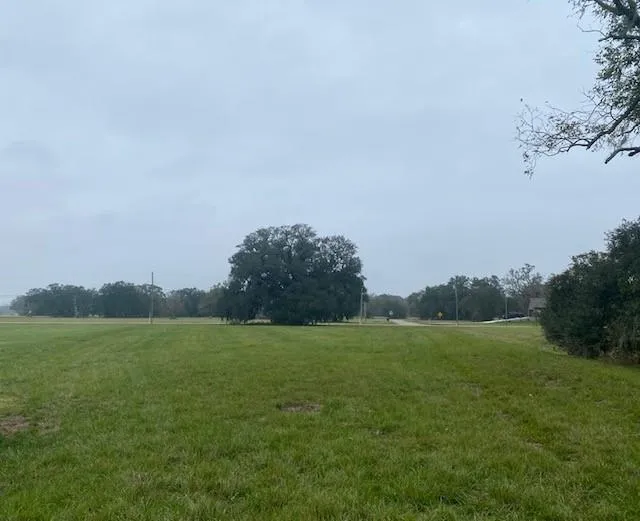 218 Cattle Drive Trail Angleton, TX 77515
