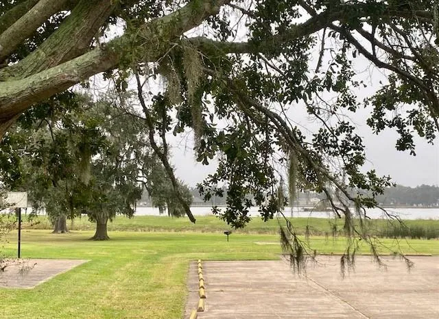 218 Cattle Drive Trail Angleton, TX 77515