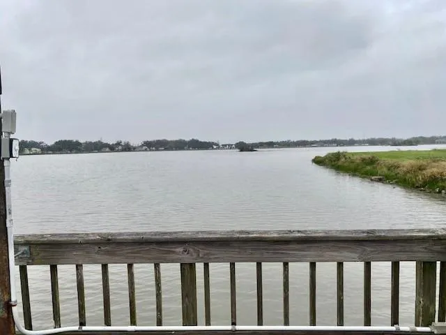 218 Cattle Drive Trail Angleton, TX 77515