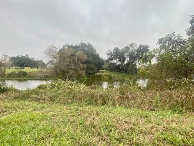 218 Cattle Drive Trail Angleton, TX 77515