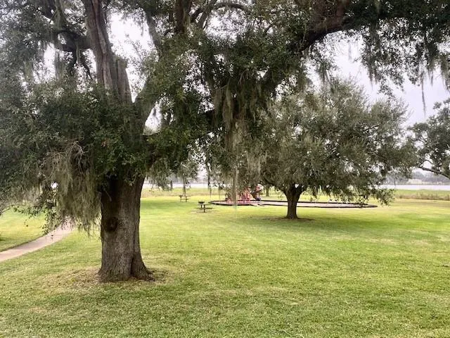 218 Cattle Drive Trail Angleton, TX 77515