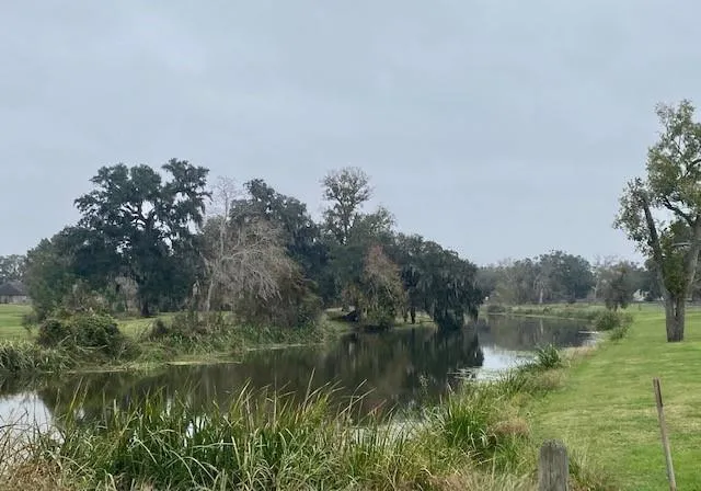 218 Cattle Drive Trail Angleton, TX 77515