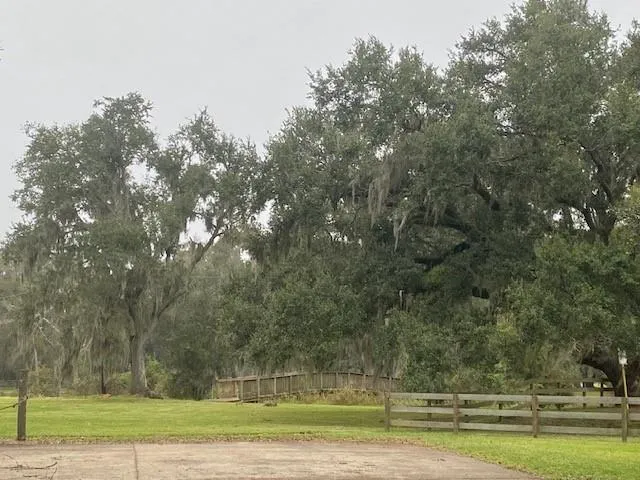 218 Cattle Drive Trail Angleton, TX 77515