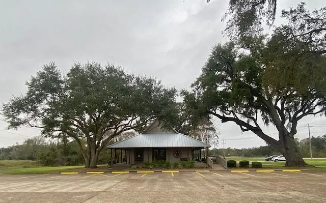 218 Cattle Drive Trail Angleton, TX 77515