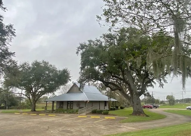 218 Cattle Drive Trail Angleton, TX 77515