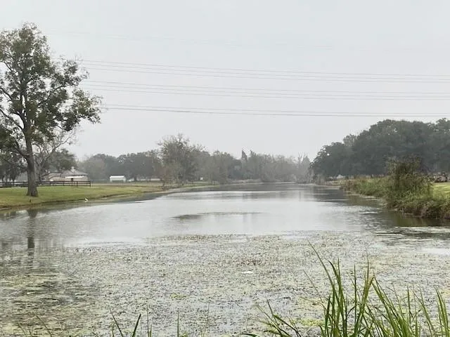 218 Cattle Drive Trail Angleton, TX 77515