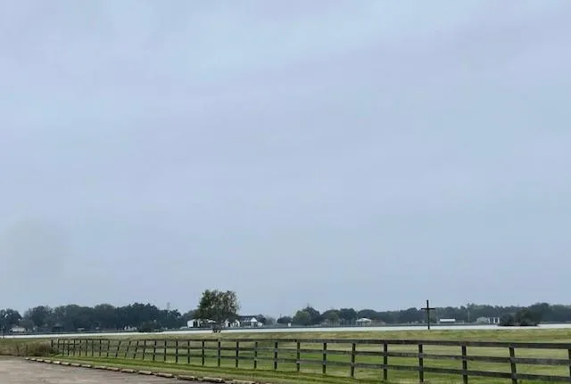 218 Cattle Drive Trail Angleton, TX 77515
