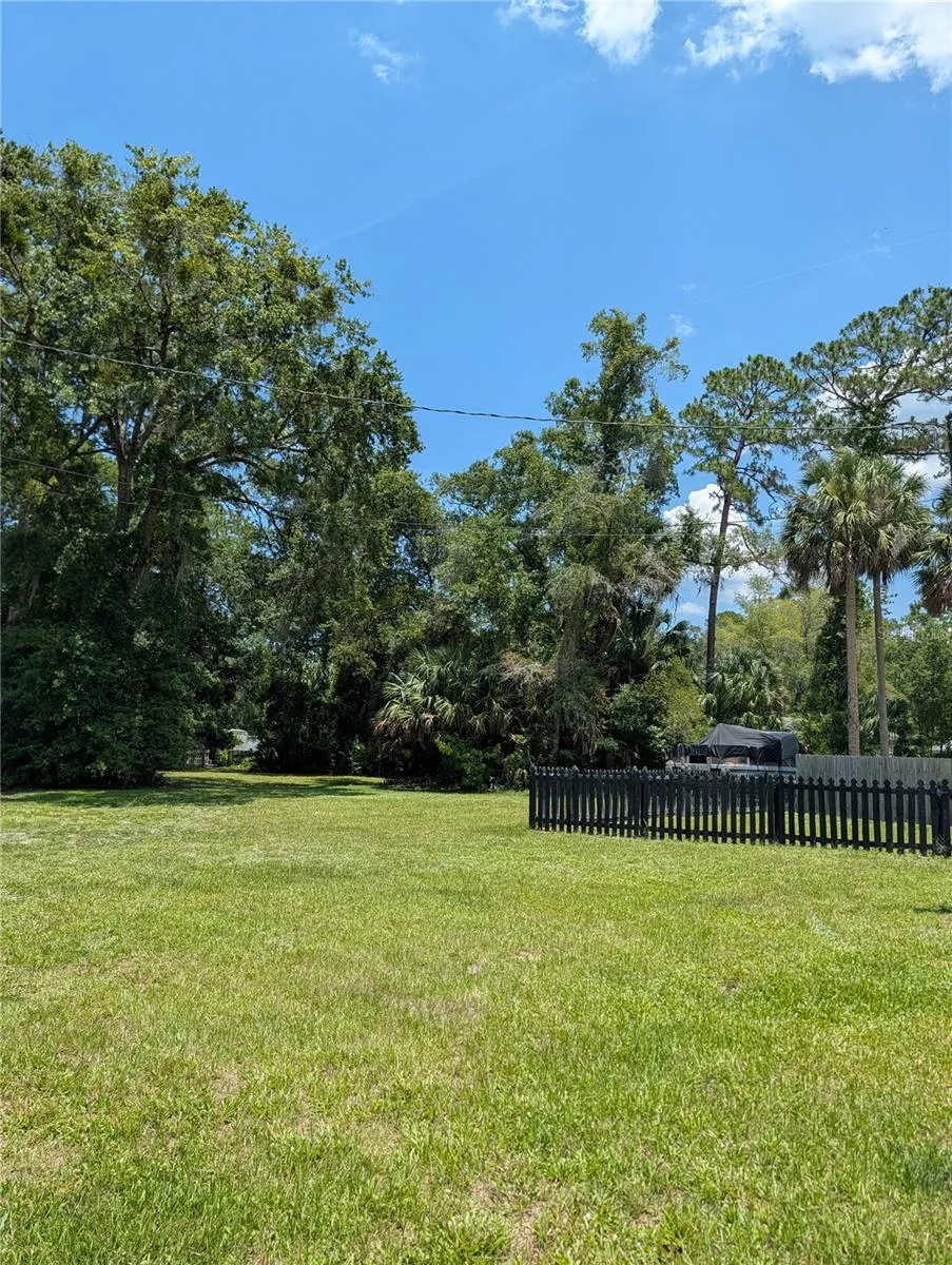 55914 BAY ROAD Astor, FL 32102