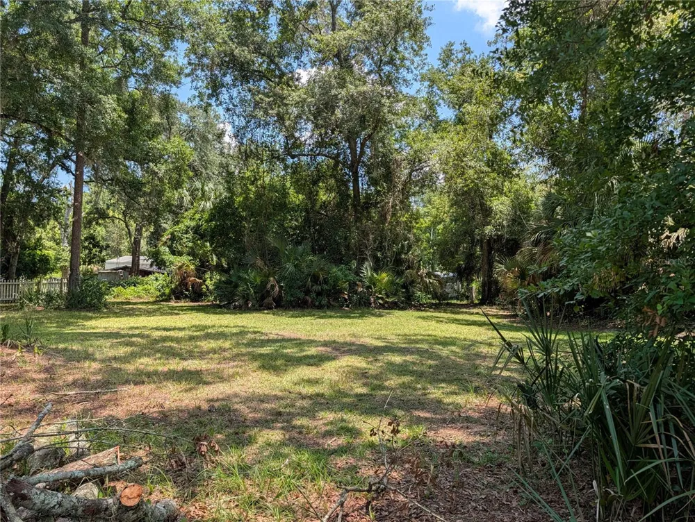 55914 BAY ROAD Astor, FL 32102