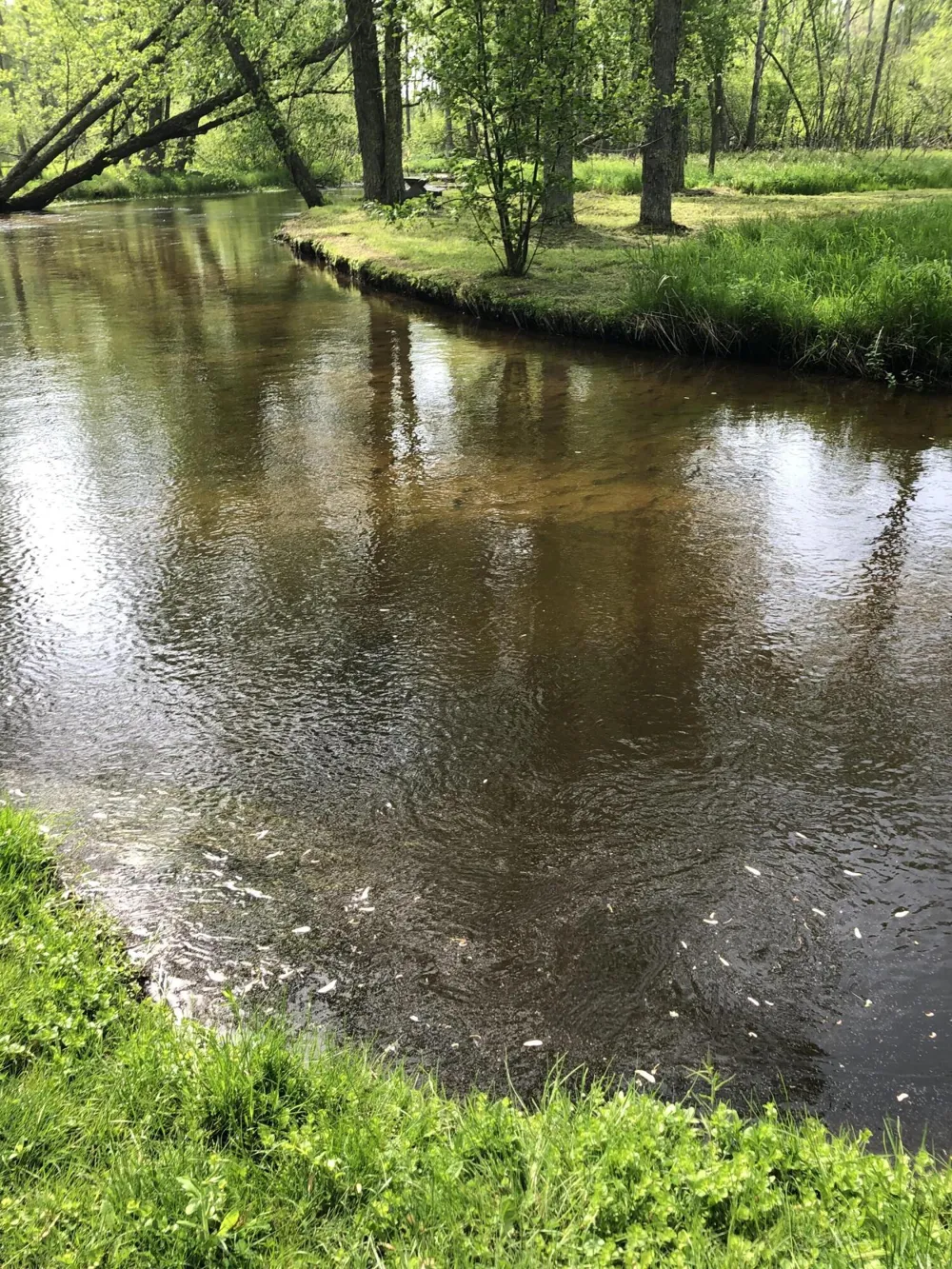 7 W 4 Mile Road Peacock Township, MI 49656