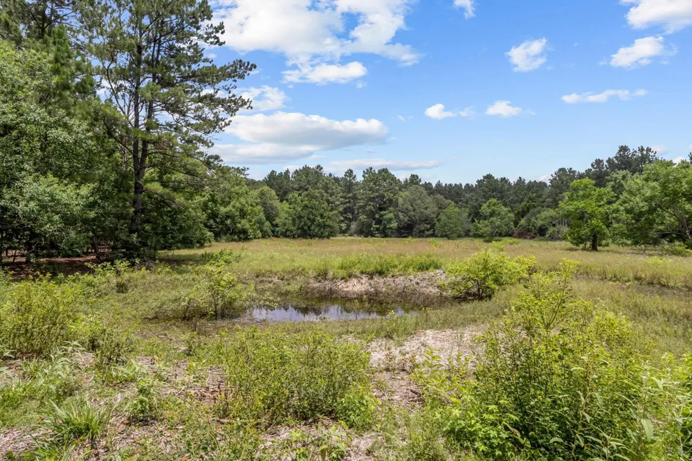 245 Pr 8368 Spurger, TX 77660