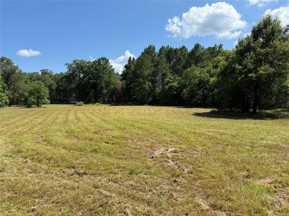 245 Pr 8368 Spurger, TX 77660