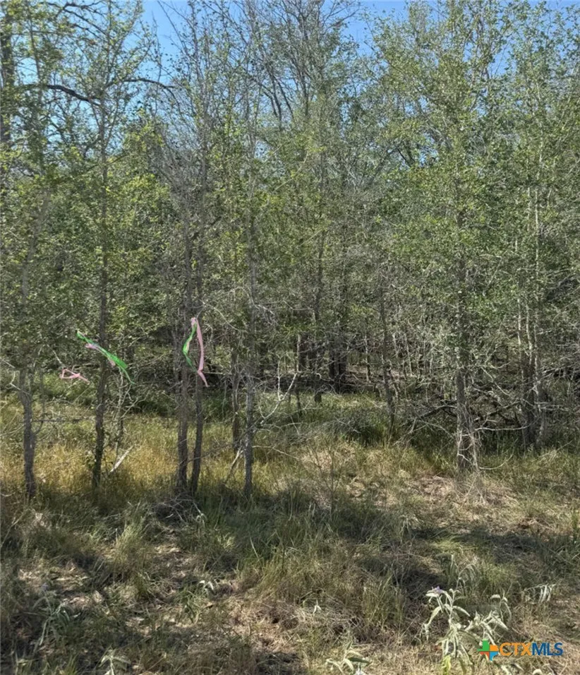 421 Kerr Avenue Sutherland Springs, TX 78161