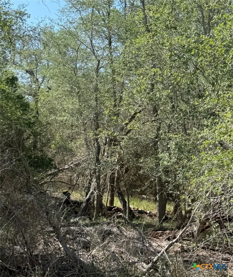 421 Kerr Avenue Sutherland Springs, TX 78161