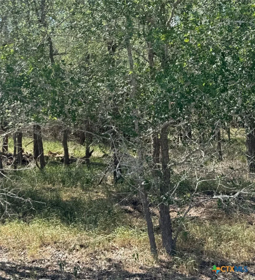 421 Kerr Avenue Sutherland Springs, TX 78161