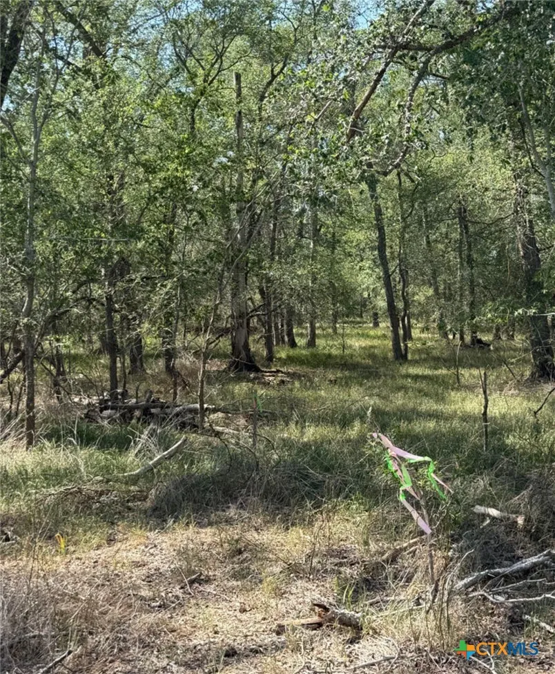 421 Kerr Avenue Sutherland Springs, TX 78161