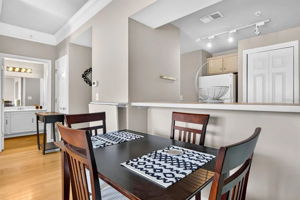 345 BAYSHORE BOULEVARD #403 Tampa, FL 33606