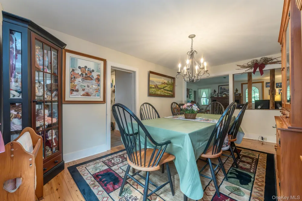 542 Blue Mountain Road Saugerties, NY 12477
