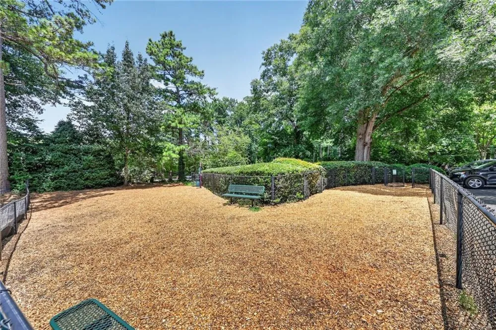 3650 Ashford Dunwoody Road NE #516 Brookhaven, GA 30319