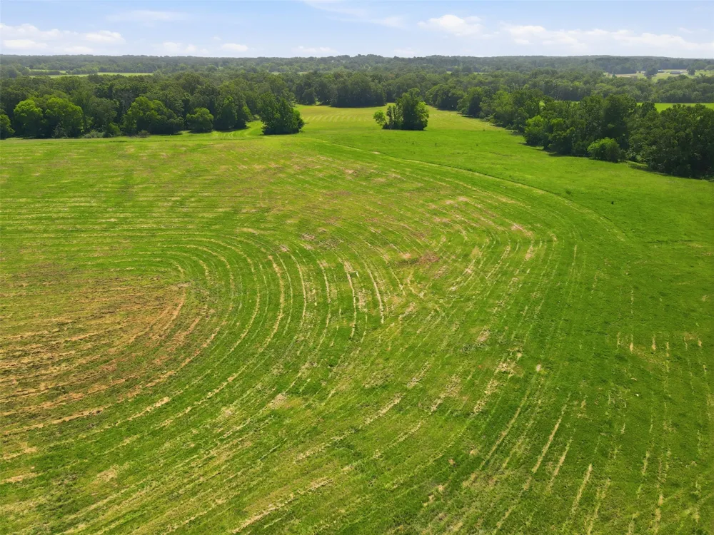 CR 4510 Mt Pleasant, TX 75455