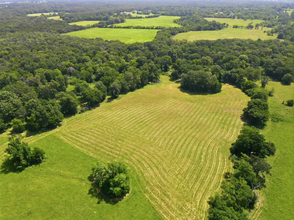 CR 4510 Mt Pleasant, TX 75455